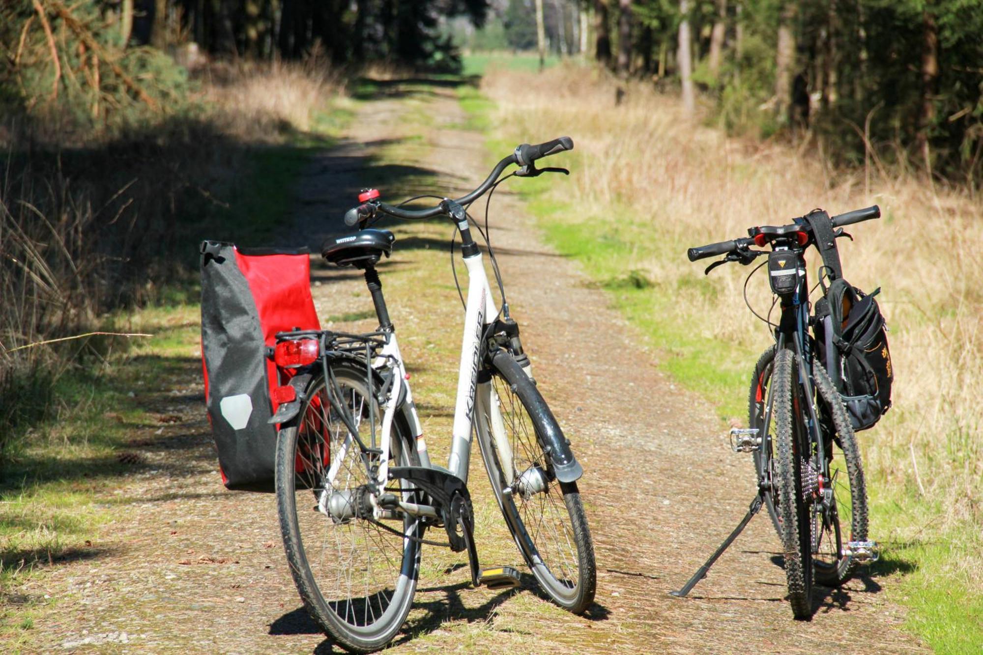 Fachwerk-treppenspeicher, Ruhe Auf Dem Land, Haustiere Willkommen, Leihfahrraeder, 24-7 Check In Kirchlinteln